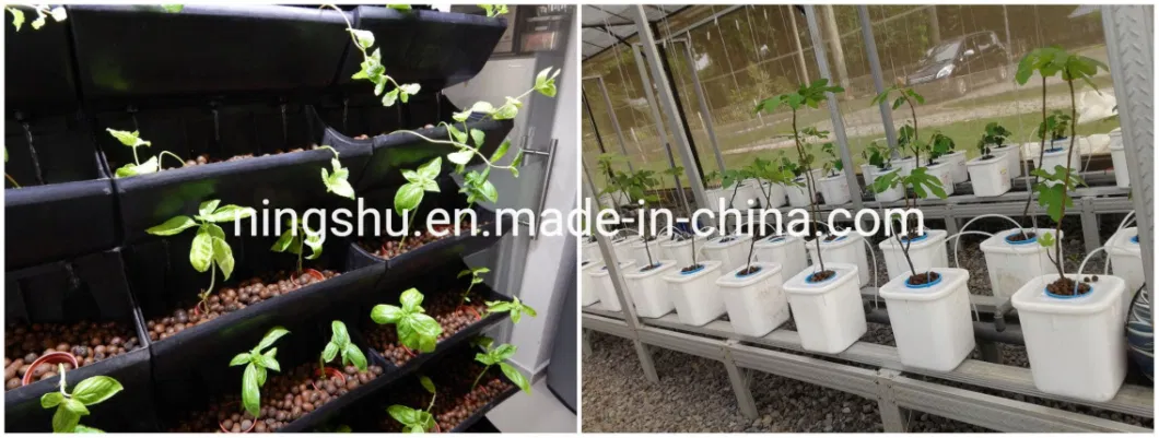 Less Dust Grow Media Expanded Clay for Hydroponics and Aquaponics