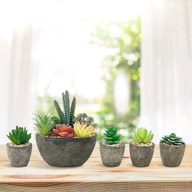 Succulents Plants Artificial Set of 5, Realistic Fake Succulents