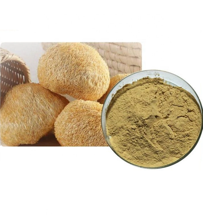 High Quality Lions Mane Mushroom Extract Powder 30% Beta D Glucan for Brain Benefit