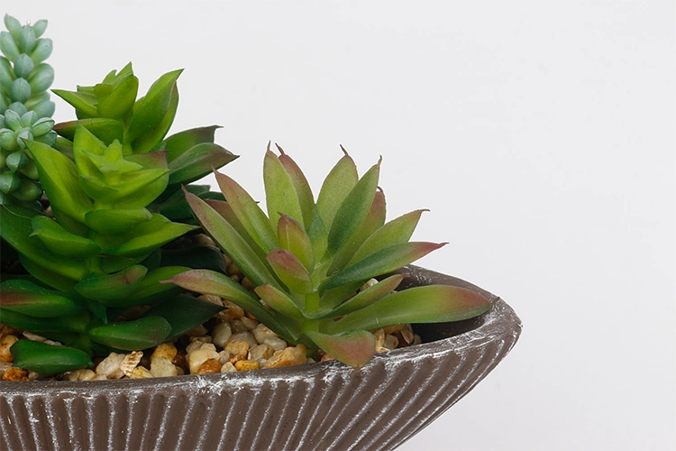 Artificial Succulent Plants in Pots Arrangement Succulents Bonsai for Home Hotel Decoration