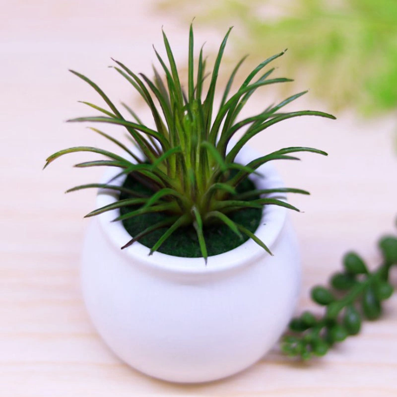 Mini Artificial Succulent Plants in Ceramics Planter Pots