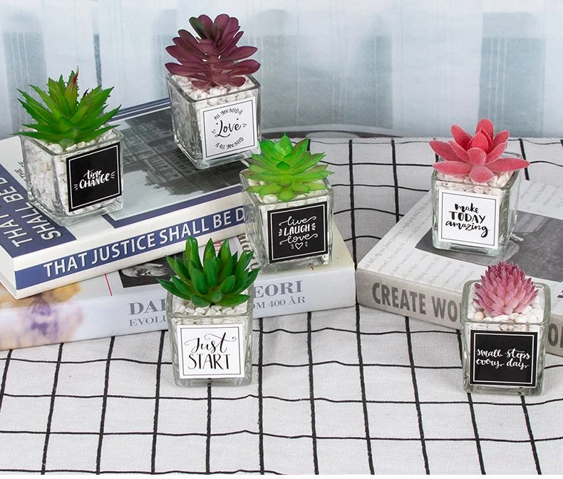 Ins Style Mini Succulent Artificial Potted Plant Tabletop Decoration Glass Bonsai