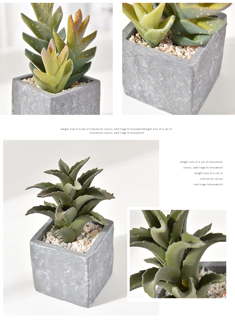 Decorative Faux Succulent Artificial Succulent Cactus Faked Air Plants with Gray Pots