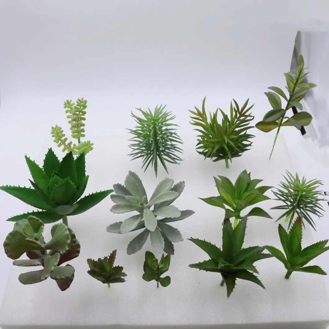 Wholesale Artificial Mini Succulent Arrangement Plastic Succulent for Pot Plant