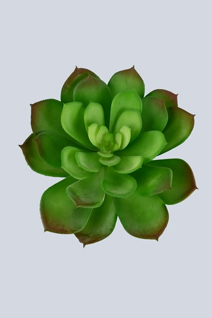 PE Snow Lotus Artificial Plant Succulent for Home Decoration (50220)