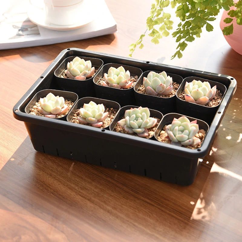 Nursery Pot Succulent Nursery Pot Plastic Sprout Tray