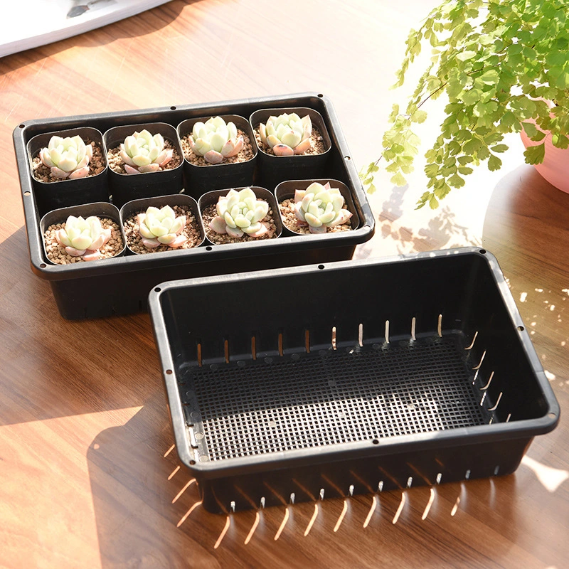 Nursery Pot Succulent Nursery Pot Plastic Sprout Tray