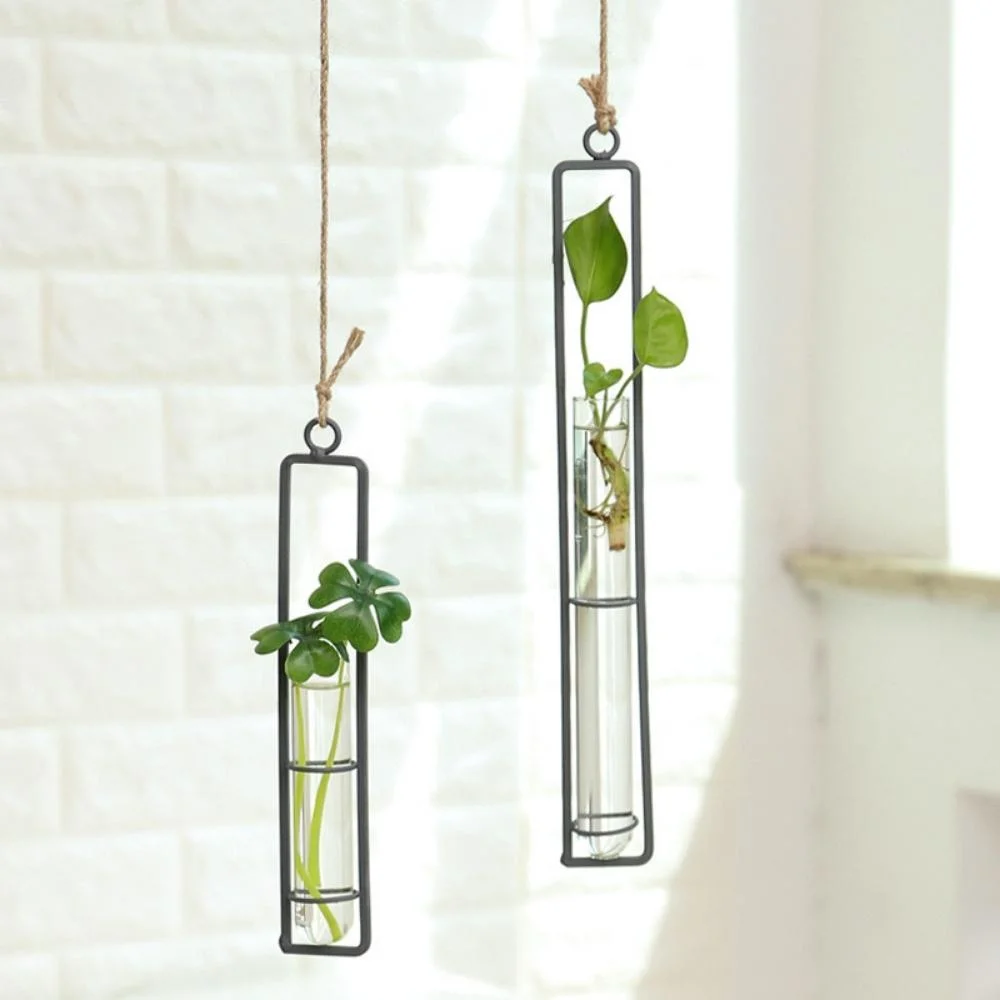 Clear Glass Test Tube Flower Vases Wall Hanging Air Plant Transparent Wbb21898