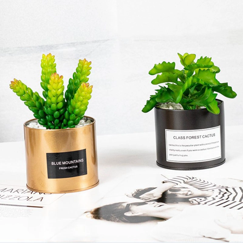 Mini Artificial Plastic Succulent with Special Golden Can Pot Design