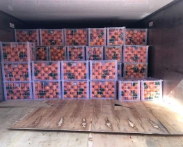 Premium Quality Fresh Mandarin Oranges (56-64-72/15kg carton)