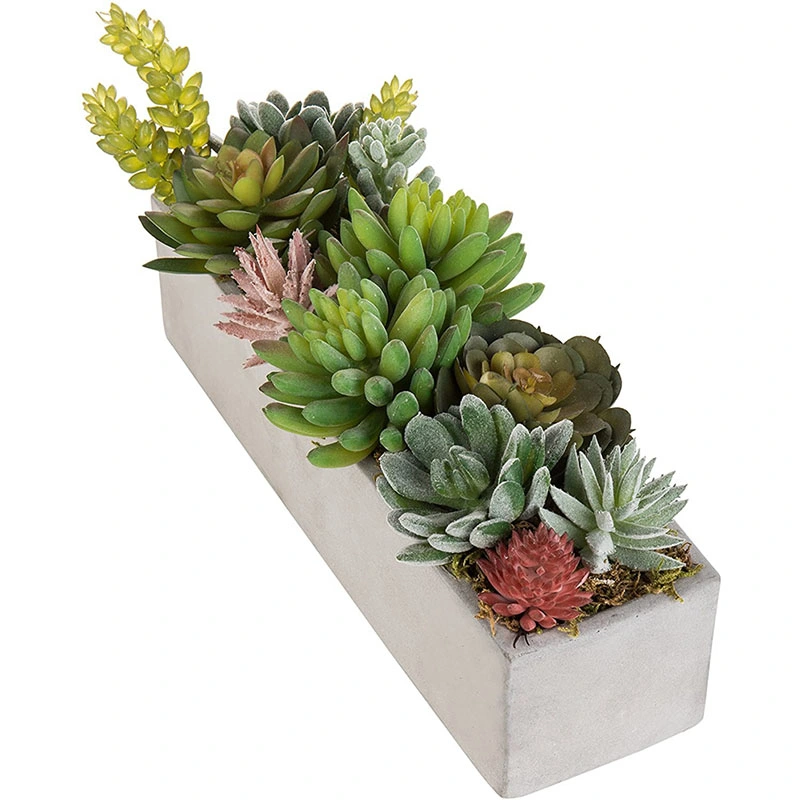 Faux Succulent Plant Arrangement in 12-Inch Gray Cement Pot