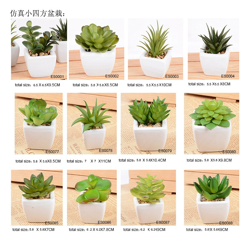 Mini Evergreen Artificial Bonsai Faux Succulent for Home Decoration