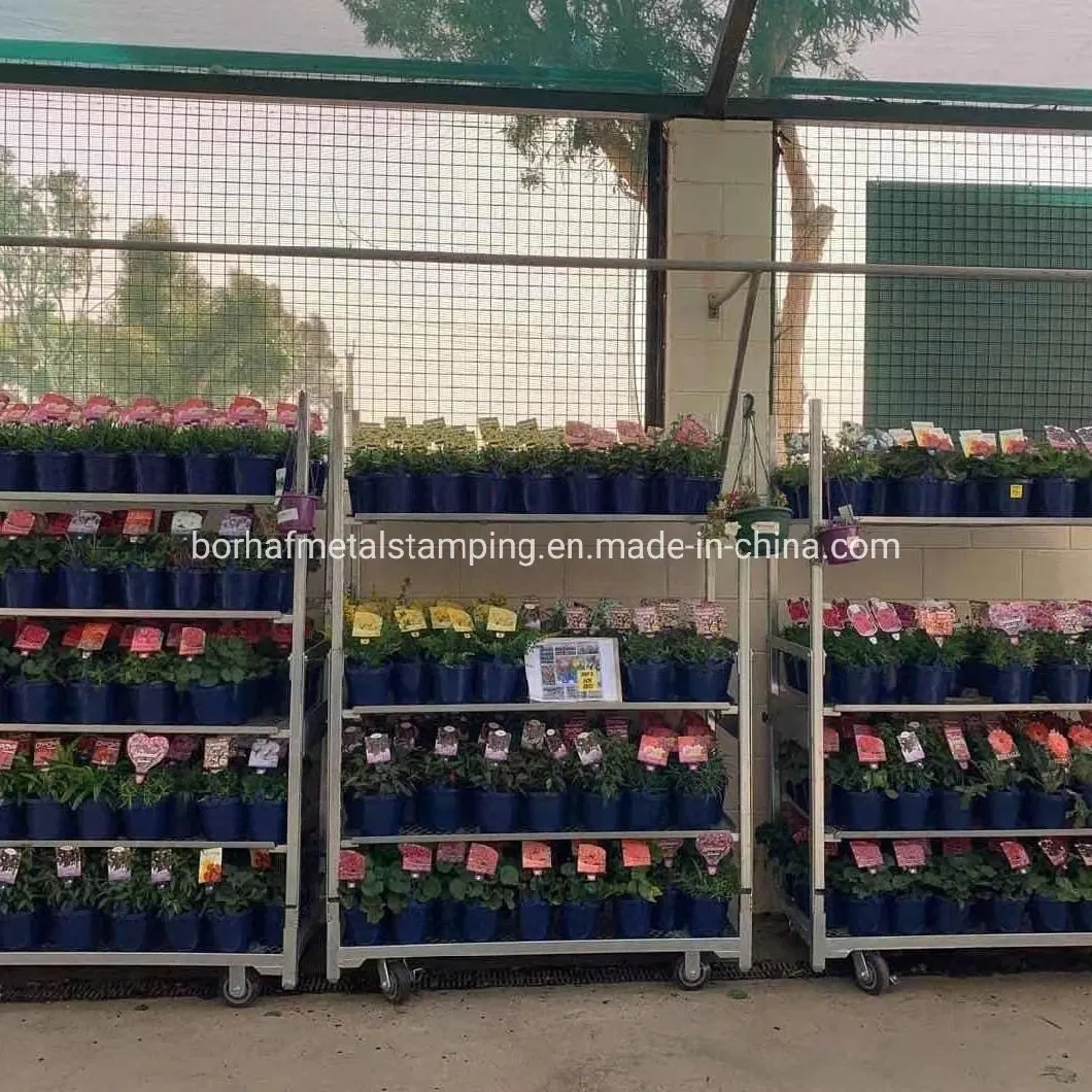 Garden Center Greenhouse Transport Hot DIP Galvanized Steel Cc Container Dutch Succulent Rolling Trolley