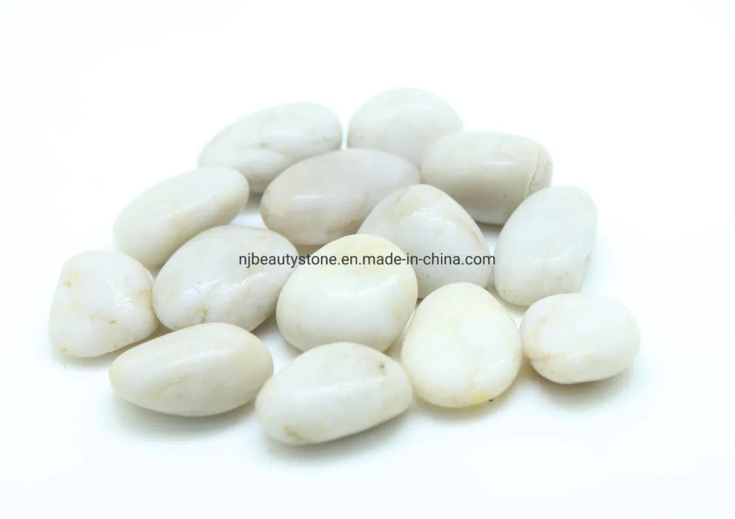 Rocks for Succulent Plants or Bonsai Garden, Bulk Bag &ndash; White Decorative Gravel Pebbles for Plants 2022