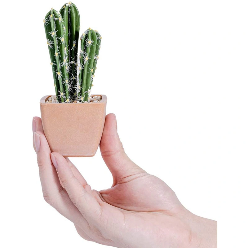 Mini Artificial Potted Plants Pack of 6, Small Decorative Faux Succulents in Pot