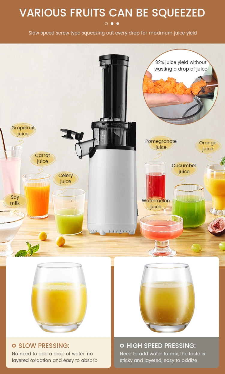 Stainless Lemon Cactus Dongguan Juicers Price Orange Juicer for Drink