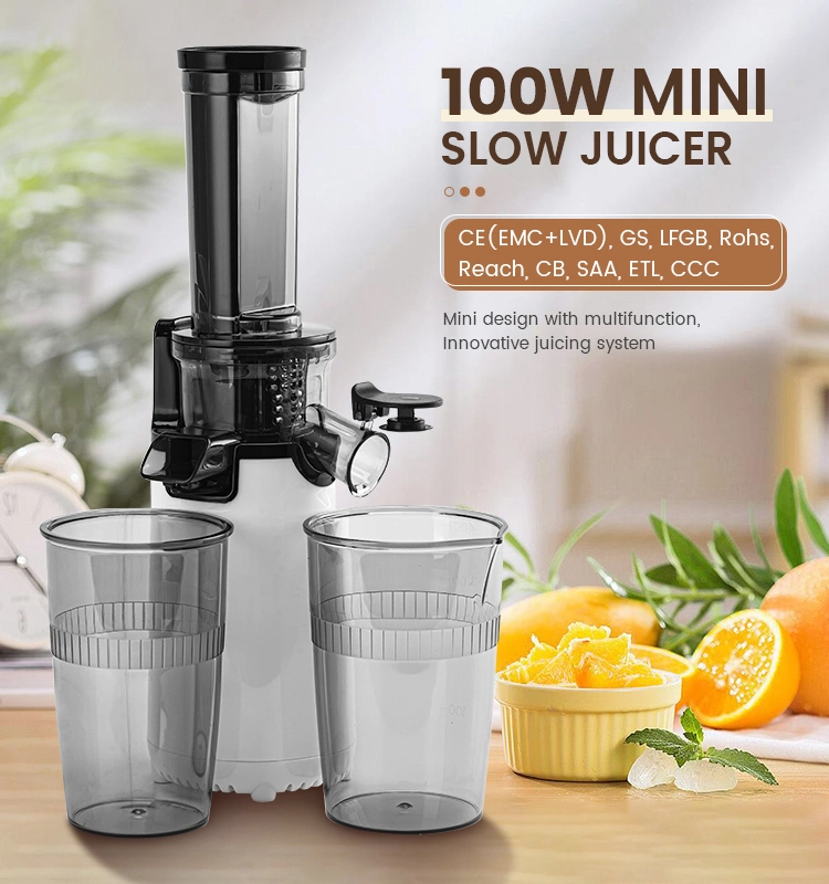 Stainless Lemon Cactus Dongguan Juicers Price Orange Juicer for Drink