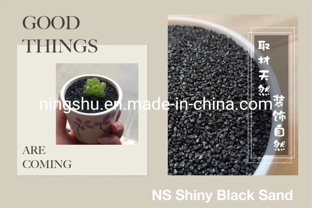 Premium Quality Shiny Black Sands for Decorate Vase, Fish Tank, Terrariums