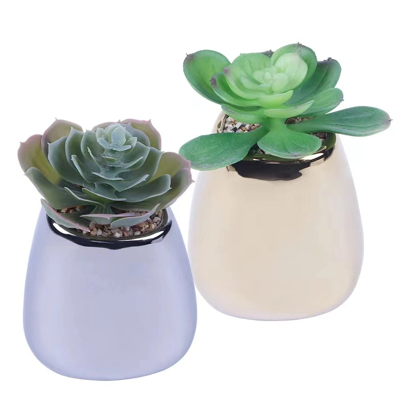 Factory Design Lifelike Real Touch Plastic Preserved Artificial Succulent Plants Tropical Plants