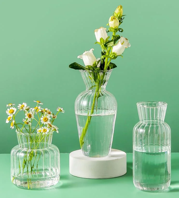 Nordic Creative Striped Bubble Vase Hand Blown Clear Flower Arrangements Glass Vases for Home Decoration