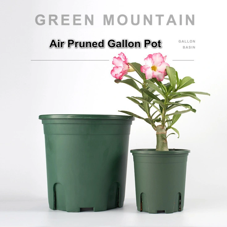 Embossing Green Plastic Flower Pot Set on Supermarket or House for Viewandadmire