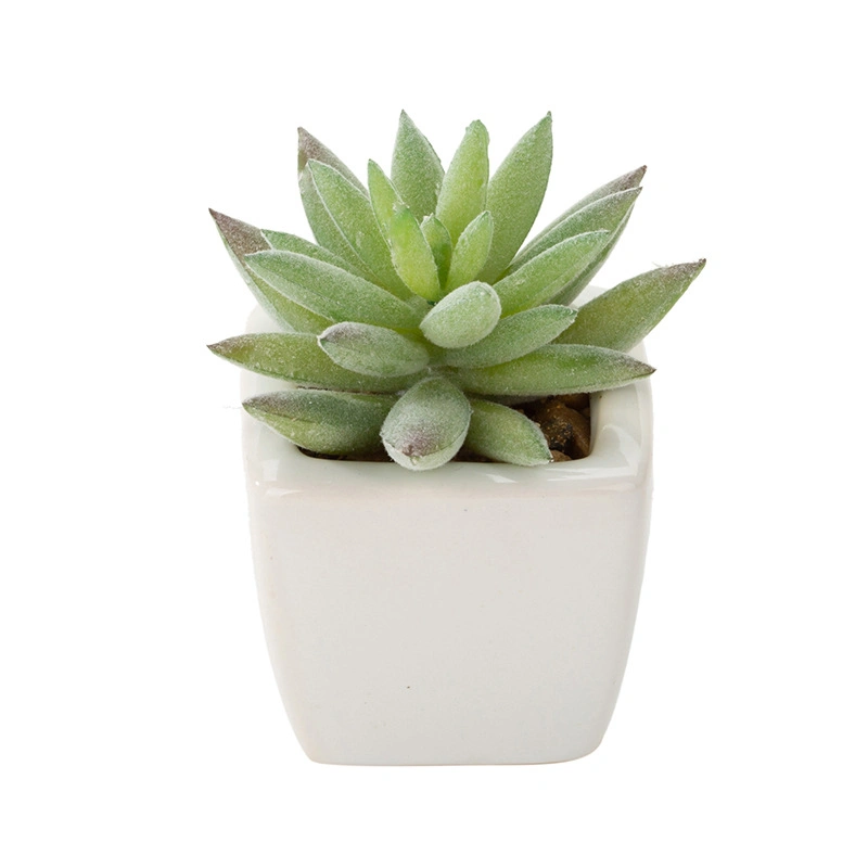 Indoor Design Brilliant White Ceramic Succulent Pots Customized Planter