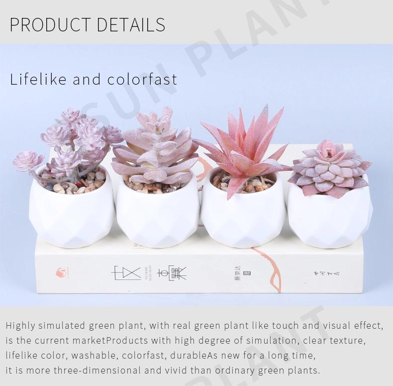 Popular Office Fake Potted Plants Decorative Plastic Mini Artificial Succulent Bonsai Wholesale