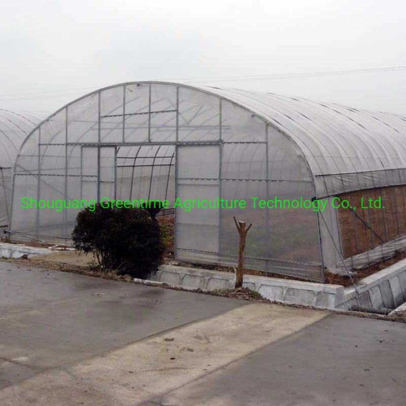 Agriculture/Single-Span/Tunnel Plastic Film Greenhouse with Cooling System for Lettuce Planting