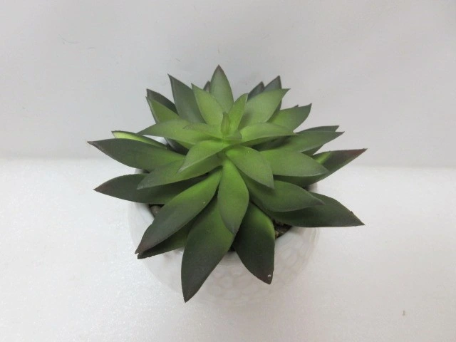 New Arrival Imitation Garden Plastic Plants Artificial Trees Fake Plants for Decoration