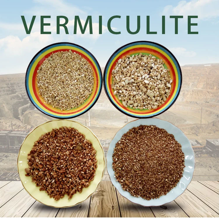 Wholesale Price Factory Direct Supply Expanded Vermiculite for Succulent Plants