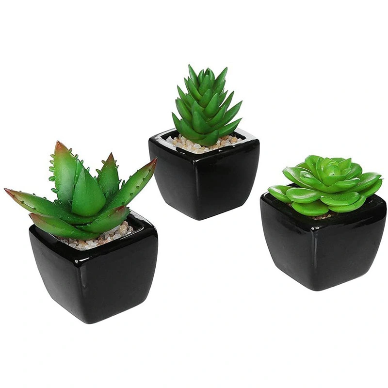 3PCS Small Mini Potted Succulents Plants Arrangements Artificial Fake Plants in Pots