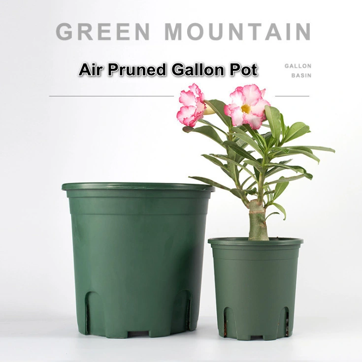 Plastic Gallon Flower Pot