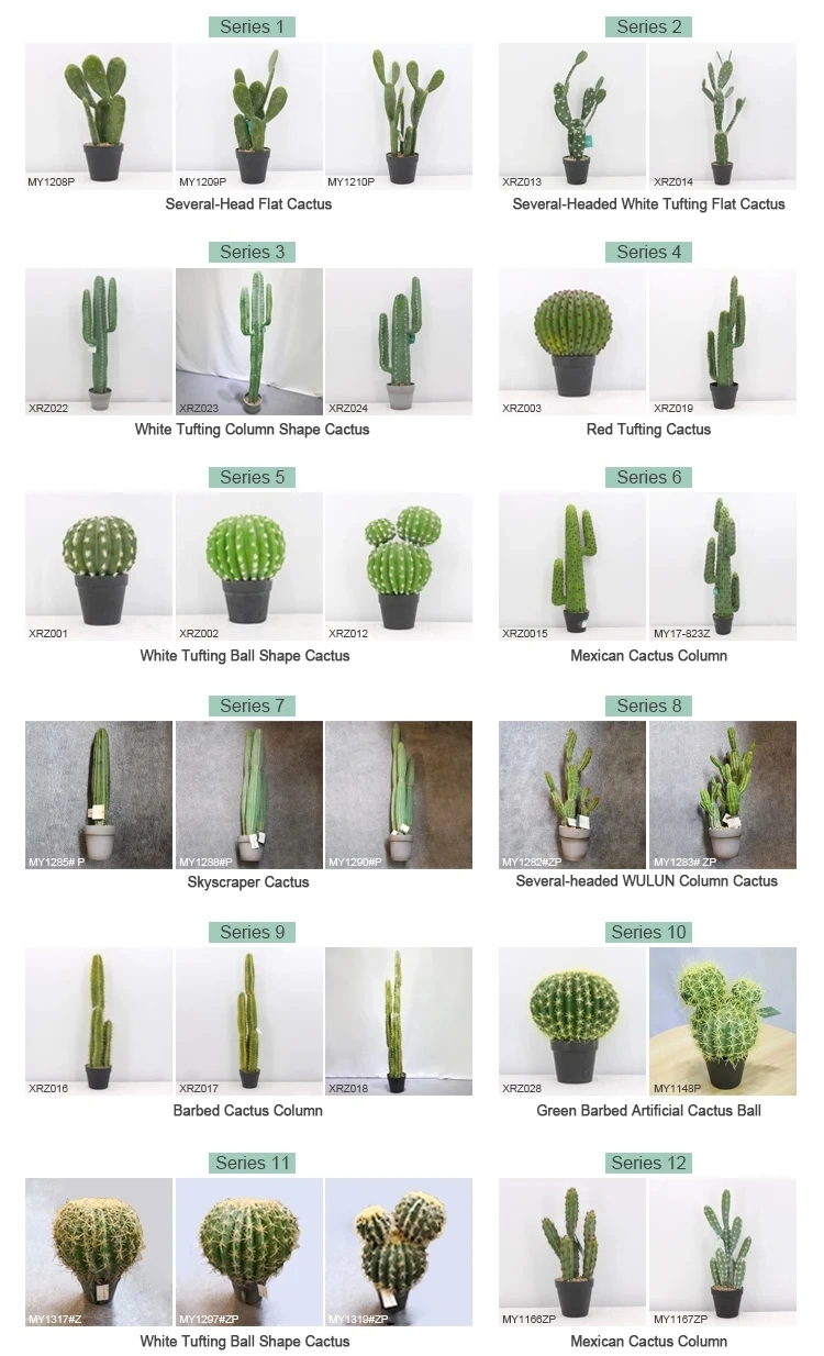 Meirui Hot Sell Large Artificial Cactus Plant for Garden Home Hotel Decoration