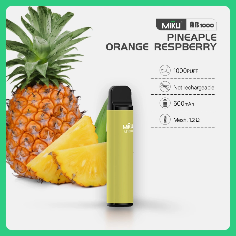 Newest Customizable Pre-Filled Salt Nic Disposable Vape - OEM, Fruit Flavors, 1000 Puffs