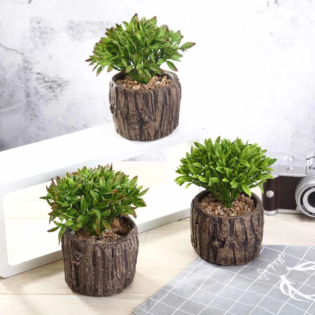 Concrete Planter Pot and Willow Tree Succulent Plant 2023 Design Artificial Plant