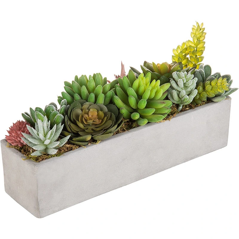 Faux Succulent Plant Arrangement in 12-Inch Gray Cement Pot