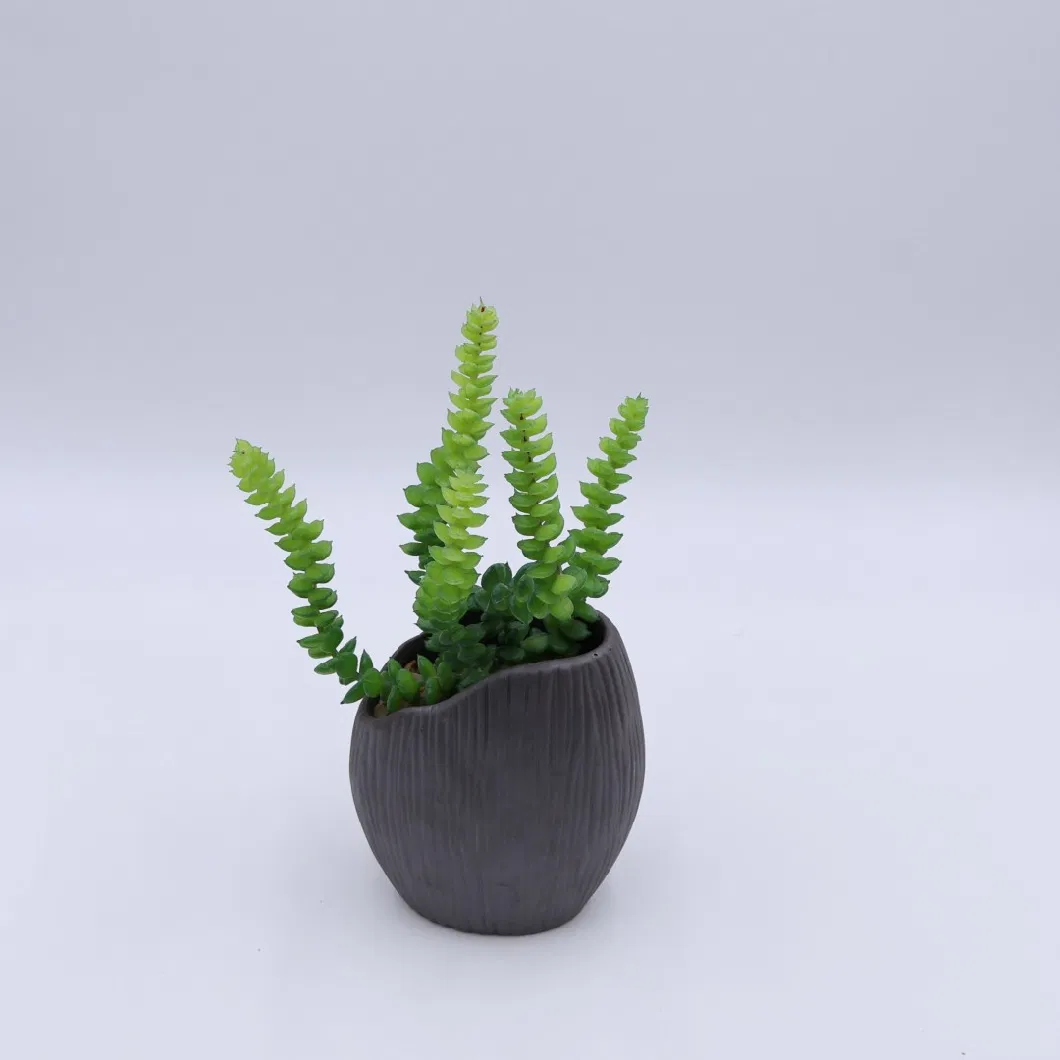 Mini Small Plastic Artificial Faux Mix Green Plant Bonsai Succulent Pot