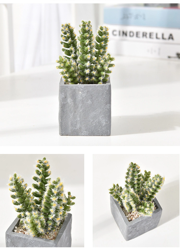 Assorted Decorative Faux Succulent Artificial Succulent Cactus Faked Air Plants with Gray Pots