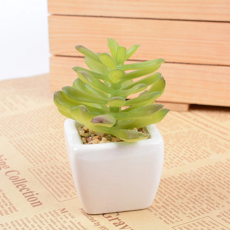 Mini Evergreen Artificial Bonsai Faux Succulent for Home Decoration