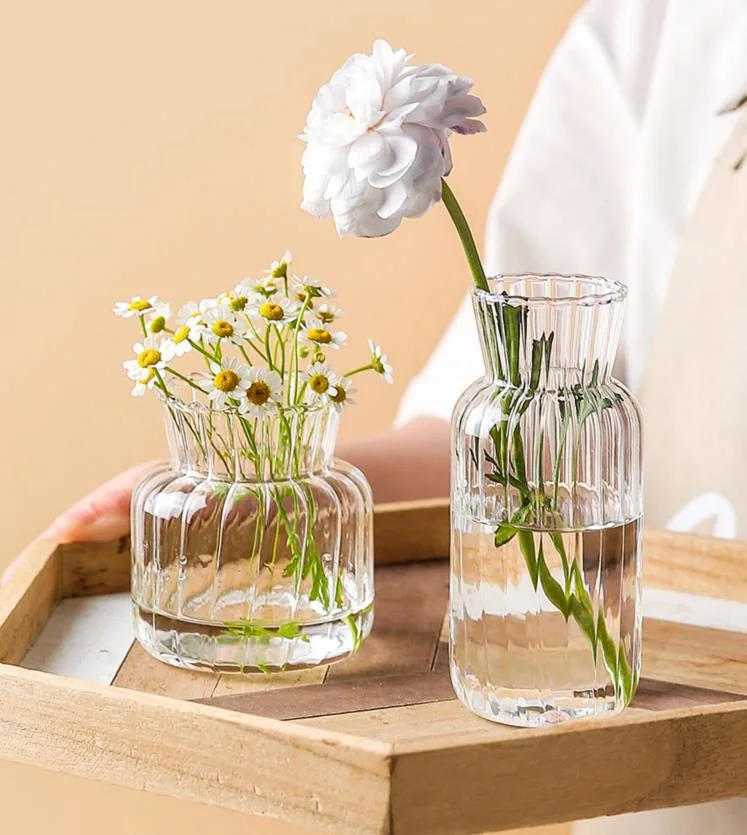 Glass Vase Bulk Cylinder Flower Home Decor Glass Flower Pot Decoration Long Clear Wholesale Wedding Plant Glass Vase for Flowers