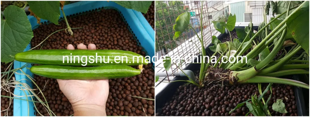 High Strength Hydroponics Aquaponics Expanded Clay Pebbles