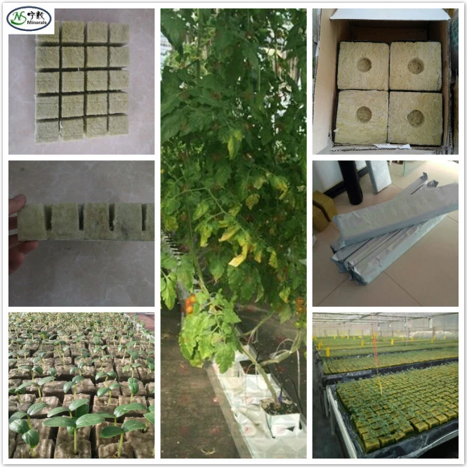 Best Hydroponic Grow Media 1inch Rockwool Grow Cubes for Seedlings