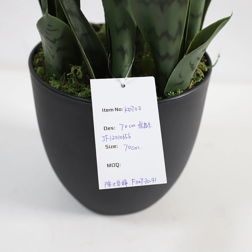 Hot Selling Mini Plastic Ornamental Indoor Sansevieria Bonsai Decoration Artificial Snake Plants