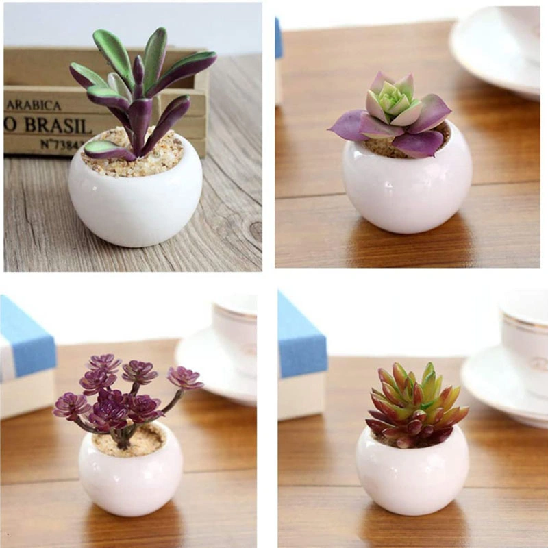 4 PCS Artificial Succulent Plants, Mini-Sized Assorted Fake Succulent Potted with White Ceramic Potted