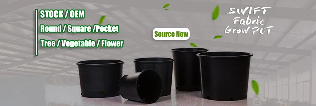 Ready to Ship Good Drainage Root Control Series Black 2 Gallon Round Plastic Pot for Tree Garden Plants