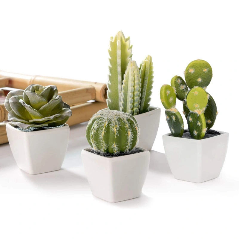 Set of 4 Artificial Mini Succulent &amp; Cactus Plants in White Cube-Shaped Pots