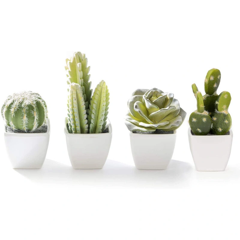 Set of 4 Artificial Mini Succulent &amp; Cactus Plants in White Cube-Shaped Pots