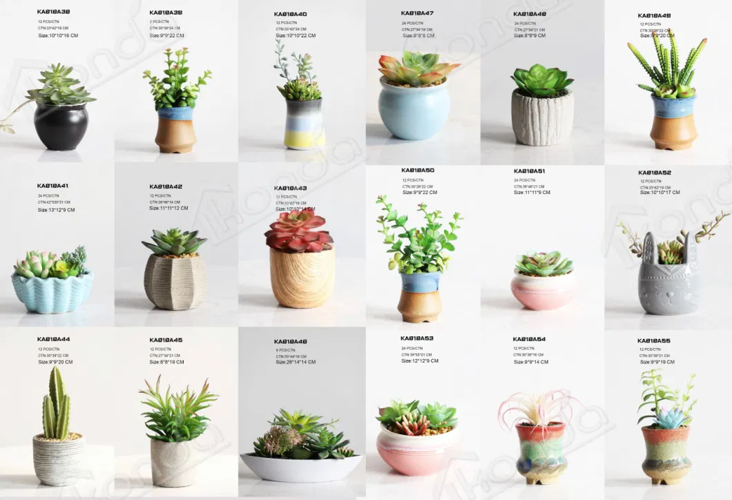 Fake Plants Plastic Artificial Colorful Succulents for Sale