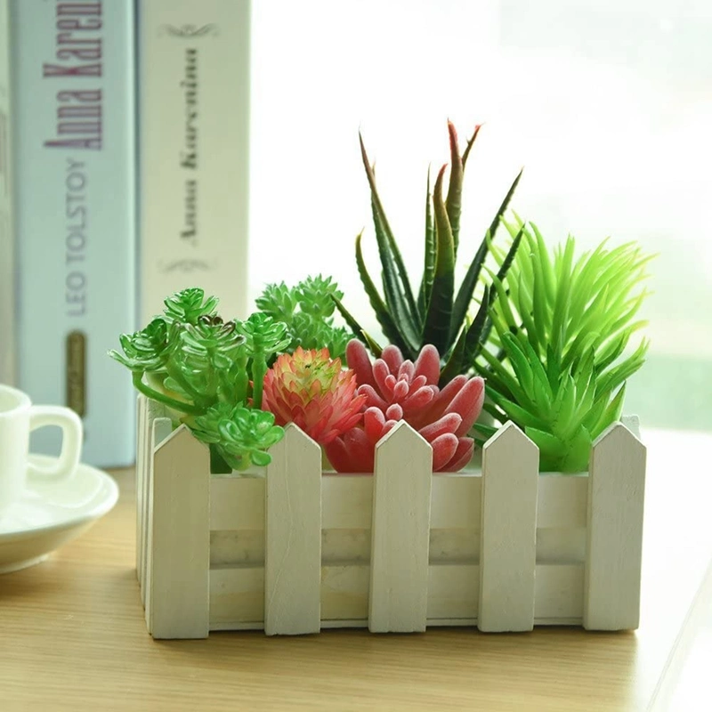 Wholesale Cheap Artificial Succulent Competitive Prices Creative Artificial Succulent Plants