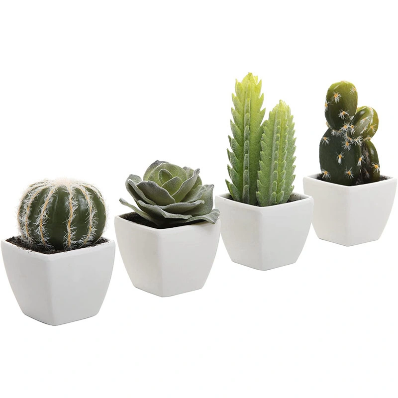 Set of 4 Assorted Miniature Artificial Succulent &amp; Cactus in Pots